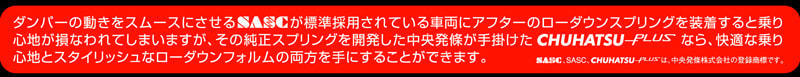 プリウスα    ローダウンスプリング